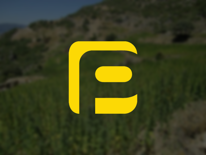 El professeur, l'authentique