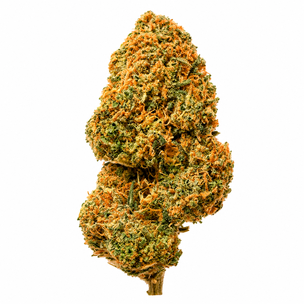 Gelato Indoor